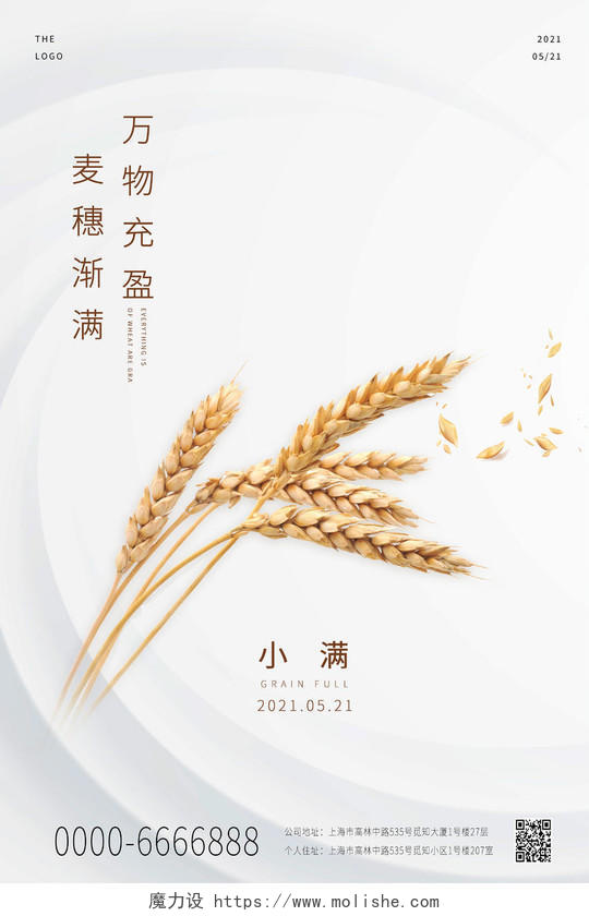 灰色小清新中国传统节气小满麦穗万物充盈海报24节气二十四节气小满